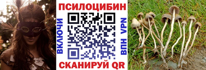 Псилоцибиновые грибы прущие грибы  купить закладку  Кострома 